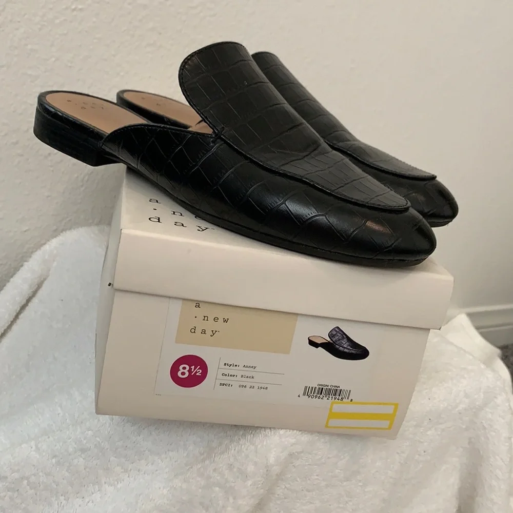 A New Day black slides - Picture 1 of 12